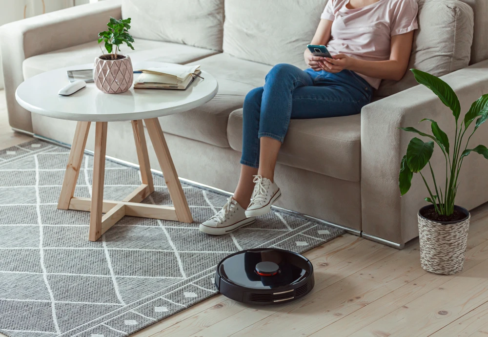 cleaning robot vacuum and mop